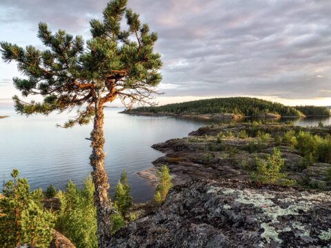 тур в карелию из полоцка