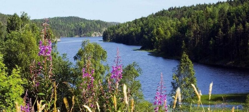 тур в карелию из витебска