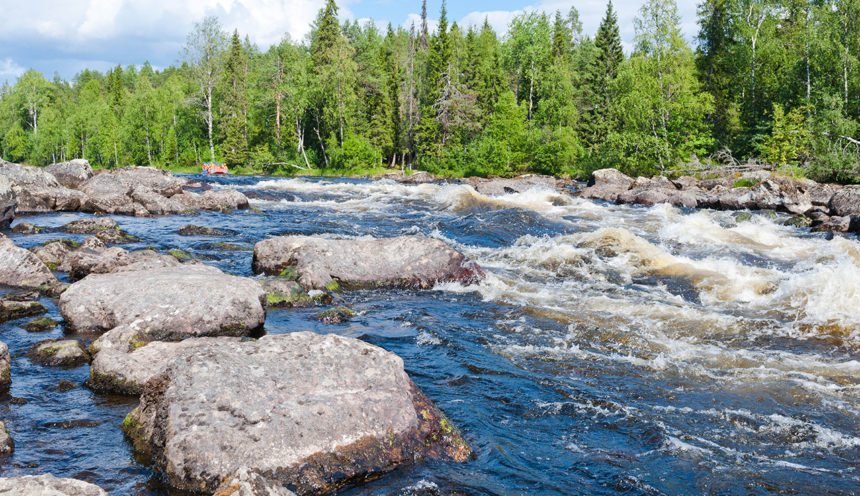 Тур в Карелию-Ладожское озеро-Выборг из Новополоцка