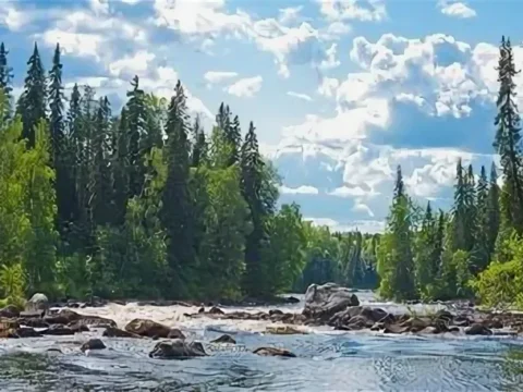 Тур в Карелию-Ладожское озеро-Выборг из Новополоцка