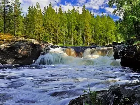 Тур в Карелию-Ладожское озеро-Выборг из Новополоцка