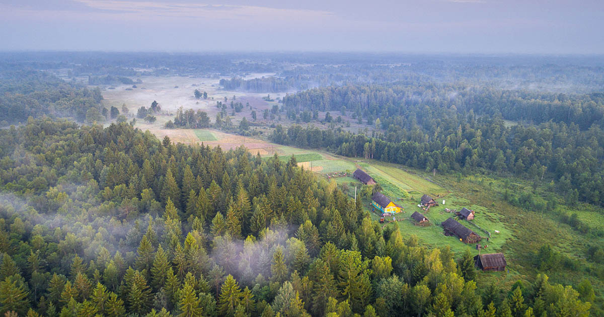 Тур на сыроварню ГрандМилк-Налибокскую пущу из Полоцка