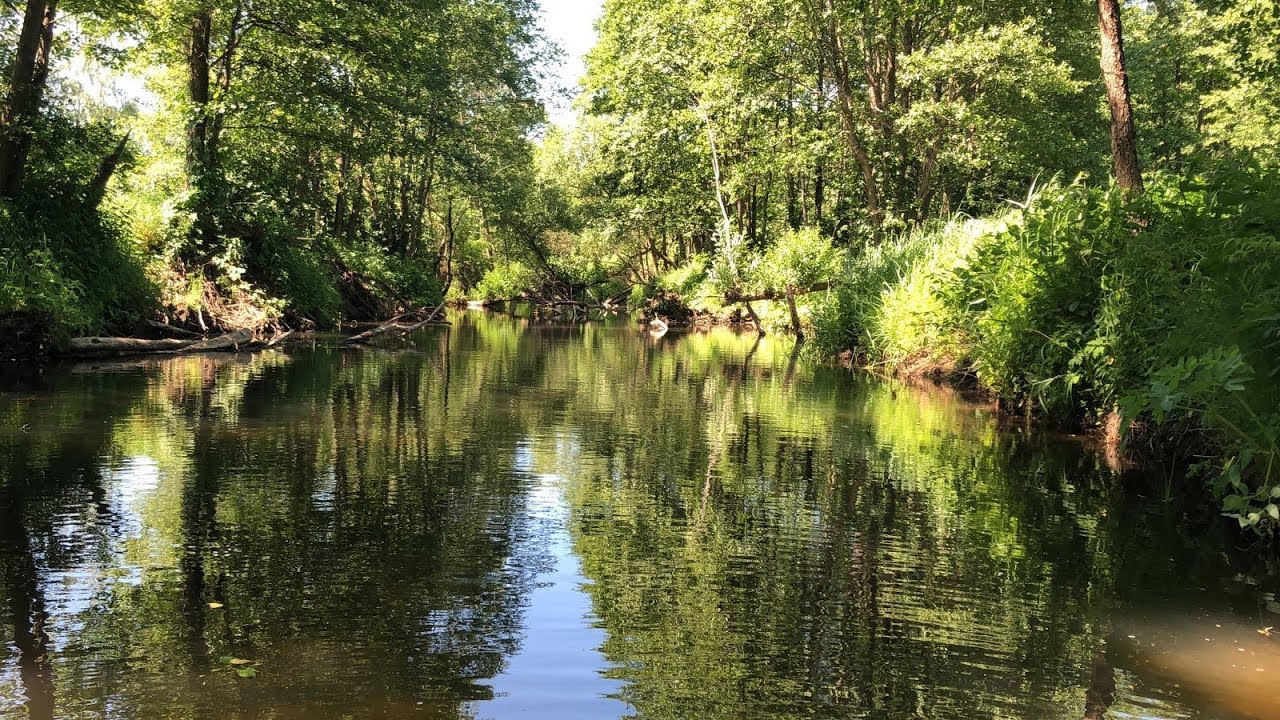 Тур на сыроварню ГрандМилк-Налибокскую пущу из Новополоцка